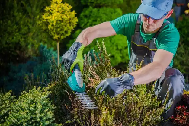 landscaping services Otisville